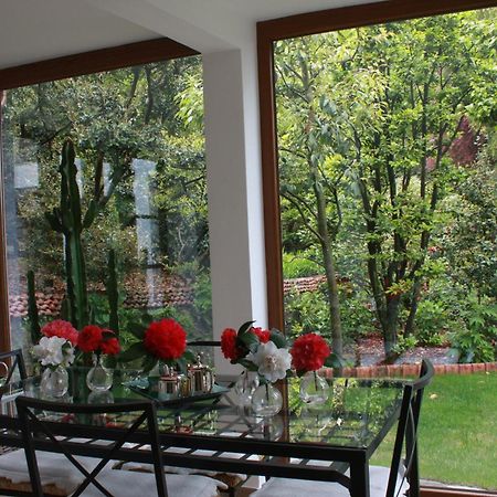La Camelia D'Oro Apartment Oggebbio Exterior photo